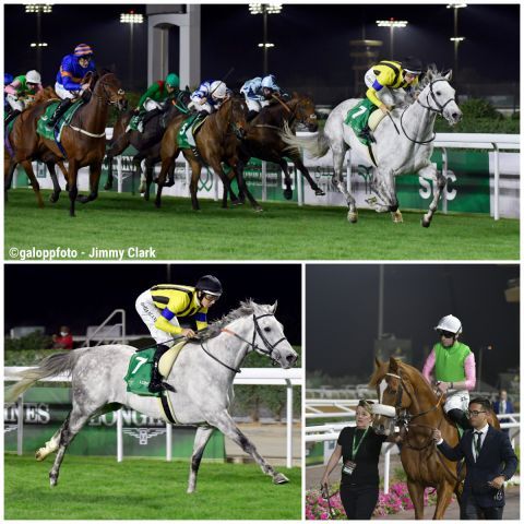 Vier Längen hinter dem sicheren Sieger Silver Sonic (Damien Lane) aus Japan holt sich Sisfahan unter Jack Mitchell - hinten innen im hellgrün-rosa Dress zu sehen - als Sechster das letzte Geld im Red Sea Turf Handicap in Riad. ©galoppfoto - Jimmy Clark