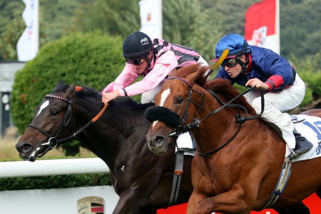 Sorgte beim BBAG-Auktionsrennen in  Düsseldorf für die Überraschung - Eckhard Saurens Nordico (r.) gewann mit Daniele Porcu als 321-10-Außenseiter gegen den Favoriten Nadelwald mit Andrasch Starke. www.klatuso.com - Klaus-Jörg Tuchel