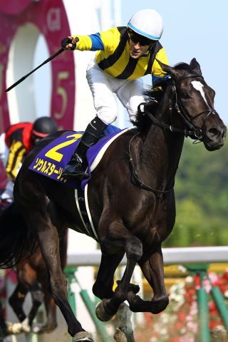 Soul Stirring gewinnt unter Christophe Lemaire die Oaks in Japan. www.galoppfoto.de - Yasuo Ito