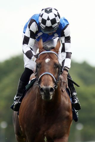 Start in eine neue Karriere - Protectionist, hier mit Eduardo Pedroza beim Sieg im 126. Longines Grosser Preis von Berlin, wird Deckhengst im Gestüt Röttgen. www.galoppfoto.de - Petr Guth