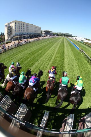 Am Samstag startet das Derby-Meeting in Hamburg-Horn. www.galoppfoto.de - Frank Sorge