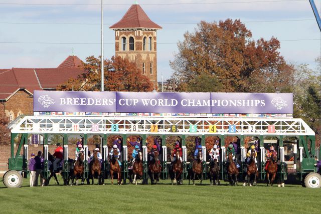 Breeders' Cup auf den Churchill Downs Foto: www.galoppfoto.de