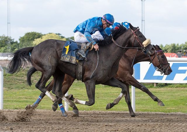 Knapper Sieg des Außenseiters Stroxx Carlras in Jägersro. Foto: offiziell