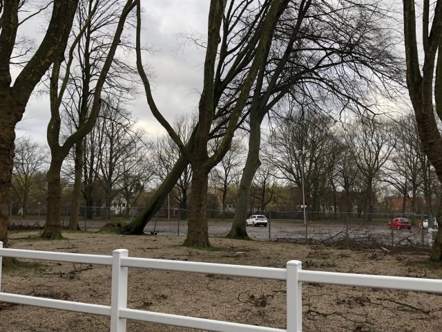 Entwurzelte Bäume und Zweige auf dem Parkplatz - der für Freitag geplante Renntag wird auf Dienstag verschoben. Foto: Dortmunder Rennverein
