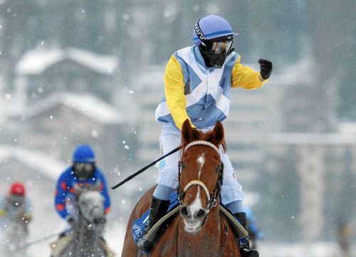 African Art mit Freddy Di Fede gewinnt den GP von St. Moritz Foto: swissimage.ch