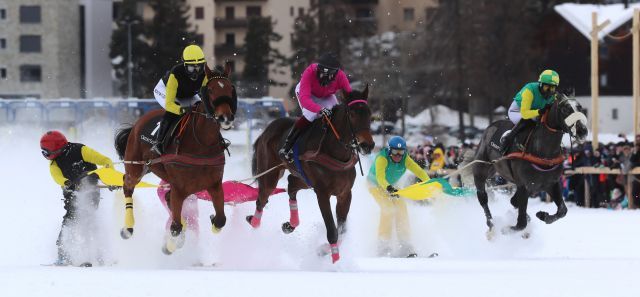 Skikjöring mit Jockeys: In der Mitte die Siegerin Turandot. Foto: Swiss Images/Andy Mettler