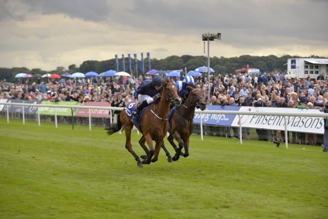 Tapestry (Ryan Moore) schlägt Taghrooda in den Yorkshire Oaks. Foto: John James Clark