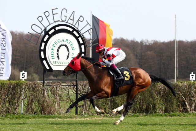 Größter Erfolg in der Rennlaufbahn: Technokrat (Johan Victoire) gewinnt den Preis von Dahlwitz. www.galoppfoto.de - Frank Sorge