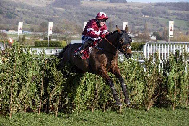 Ein emotionaler Sieg: Tiger Roll holt sich das Cross Country. Foto: Tracy Roberts