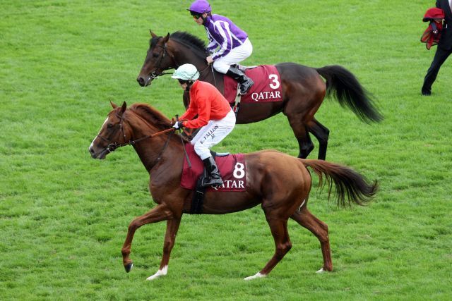 Timos (vorne) unter Kieran Fallon beim Aufgalopp zum "Arc". www.galoppfoto.de 