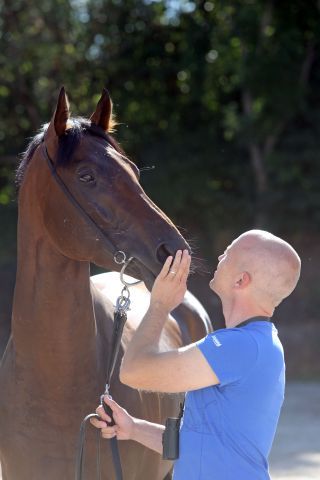 Trainer Michael Figge und Feuerblitz im Portrait. www.galoppfoto.de - Frank Sorge