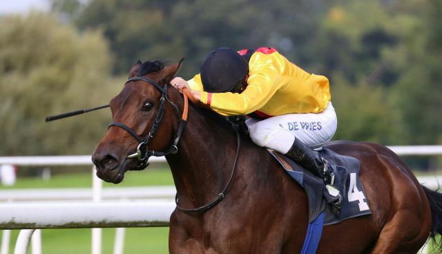 Dreimal sah Virginia Sun in diesem Jahr von der Konkurrenz nur die Hinterhuf, jetzt gewann die Doyen-Tochter mit Adrie de Vries überlegen das 131. St. Leger in Dortmund. Foto: Dr. Jens Fuchs