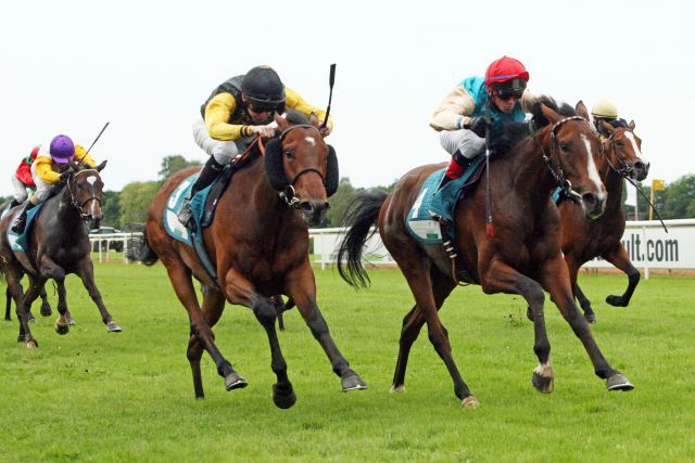 Wadeshda (rechts)  gewinnt mit Andreas Helfenbein in Hannover. www.galoppfoto.de - Sabine Brose