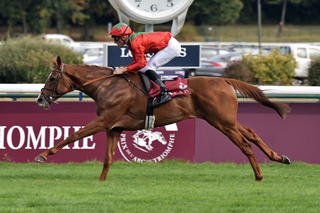 Auch im letzten Arc-Test erfolgreich: Waldgeist siegt mit Pierre-Charles Boudot im Qatar Prix Foy. www.galoppfoto.de - John James Clark