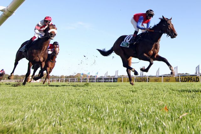 Walkaway (r.), Gr. 3-winner at Hanover. www.galoppfoto.de