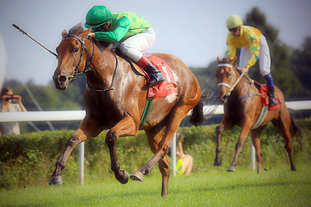 Zielona Herbatka gewinnt mit Szczepan Mazur in den Polish Oaks in Breslau. www.galoppfoto.de - Petr Guth