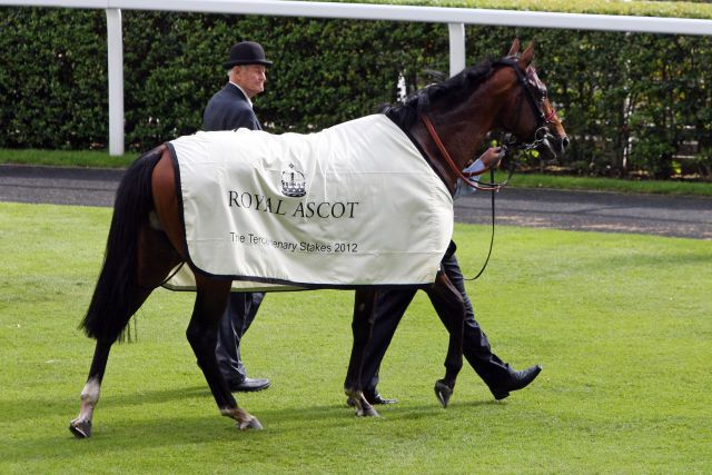 Zukunft offen: Der Ex-Schlenderhaner Energizer nach seinem Sieg in den Tercentenary Stakes. www.galoppfoto.de - Frank Sorge