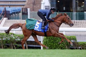 Red Dubawi, hier in Hongkong, bescherte Erika Mäder noch einen Gruppe I-Sieg. www.galoppfoto.de - Frank Sorge