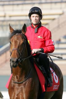 Daniele Porcu mit Estejo in Hongkong. www.galoppfoto.de - Frank Sorge