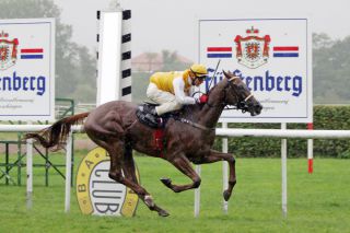 Nach der Diana steht Baden-Baden vor der Tür. Vielleicht klappt's wie 2008 mit Best Joking. Foto: www.galoppfoto.de - Frank Sorge