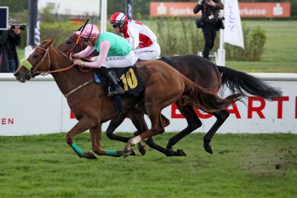 Als Agl. III-Siegerin den Sprung auf Gruppeebene geschafft: Kashmar gewinnt in Hoppegarten. www.galoppfoto.de - Sabine Brose