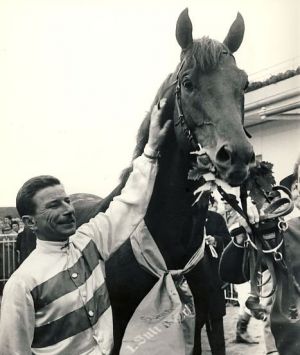 1962 - Hein Bollow mit seinem 4. Derbysieger Herero vom Gestuet Roemerhof