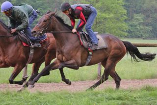 ... Global Magic in Baden-Baden