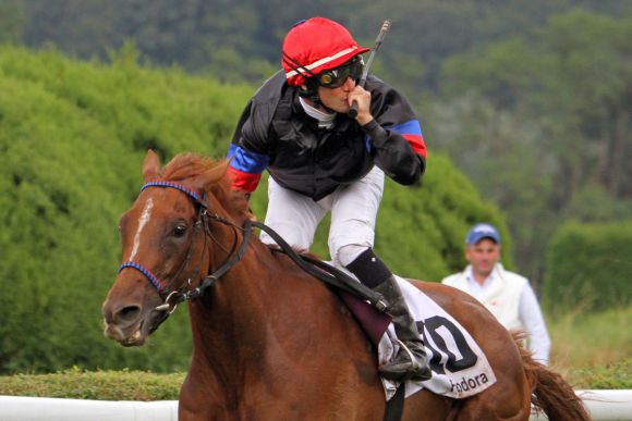 Feodora sorgte mit 269:10 für die höchste Siegquote in einem Gr.-Rennen in Deutschland. www.galoppfoto.de - Sebastian Hoeger