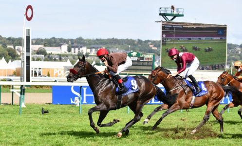 Gr. III-Treffer in Deauville: Im Prix Daphnis (Gr. III, 1.800m, 56.000€) siegt der von Henk Grewe trainierte Soldier Hollow-Sohn Thorin unter Andrasch Starke in den Farben des Rennstall Gestüt Hachtsee. Foto: www.galoppfoto.de -  Jimmy Clark