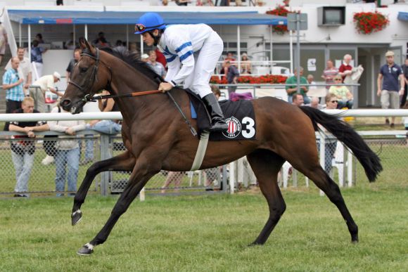 Prinz mit Dennis Schiergen beim Aufgalopp in Hamburg 2010. Foto: www.galoppfoto.de - Frank Sorge