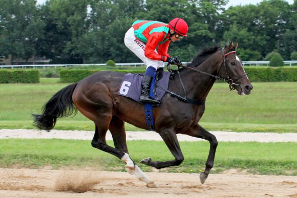 Fast hätte es 2013 geklappt mit dem Derbyritt. Dennis Schiergen und Orsello in Köln. Foto: www.galoppfoto.de - Sandra Schering