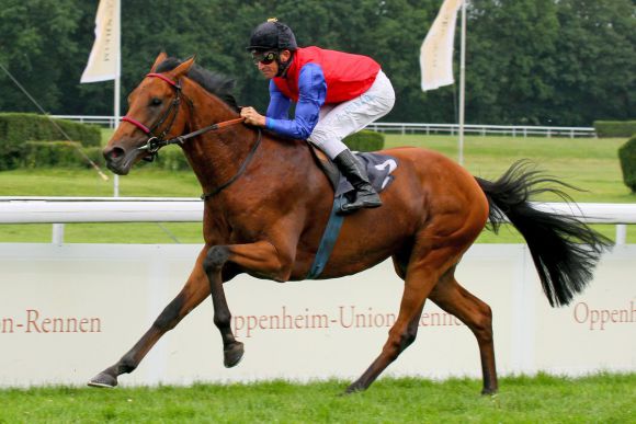 Machte sich mit seinem leichten 2,5 Längen-Sieg zum Derbyfavoriten: Ivanhowe. Foto: www.galoppfoto.de - Sandra Scherning/Sorge