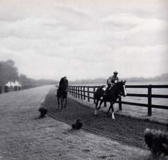 Die Ravensberger Rennbahn entstand 1934 - mit einer Gras- und einer Sandbahn