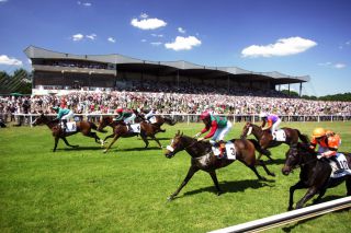 Galopprennen auf der Neuen Bult in Hannover-Langenhagen. www.german-racing.com - Sorge