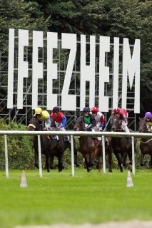 Die Rennbahn in Iffezheim bei Baden-Baden. www.baden-racing.com