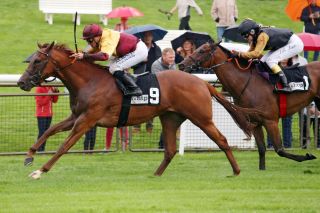 Eigene Rennfarben für das Gestüt Lünzen zusammen mit Sascha Hartung: Power Jack gewinnt mit Wladimir Panov gewinnt den htp-Cup in Hannover für Red/Gold Racing. ©galoppfoto - Sabine Brose