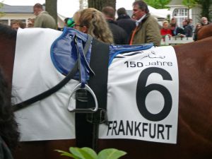 150 Jahre Galopp in Frankfurt - Zum Jubiläum gibt es entsprechende Nummerndecken. Foto: Karina Strübbe