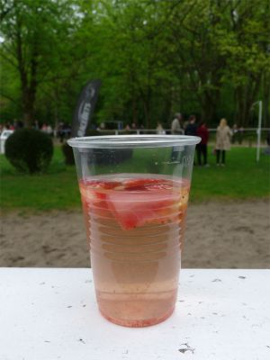 Auch wenn noch keine Erdbeerzeit war, die Bowle mundete bereits. Foto: Karina Strübbe