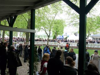 Der Führring in Frankfurt bietet einen Unterstand. Foto: Karina Strübbe