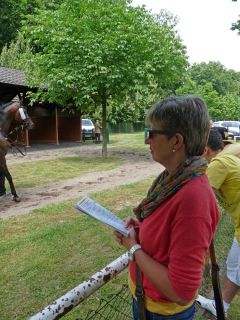 Bessere Sicht geht nicht: Testerin Annette begutachtet die Pferde beim Satteln. Foto: Karina Strübbe