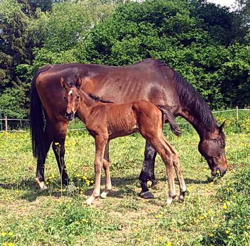 In Frankreich