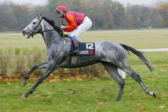 Ihr Sohn sorgte jetzt in Leopardstown über die Sprünge für Aufsehen: Die Sternkönig-Tochter Adelma - hier mit Alessandro Schikora beim Aufgalopp in Halle 2002 - ist die einzige Zuchtstute von Uwe Grüning. www.galoppfoto.de - Frank Sorge