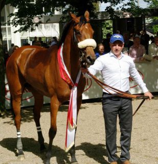 Ajaxana nach ihrem Sieg in den 1000 Guineas. www.dequia.de