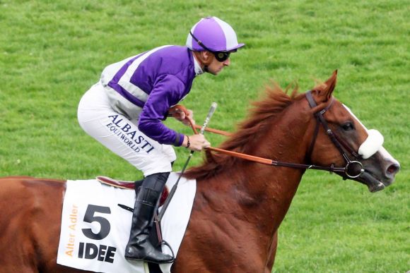 Ging mit der Nummer 5 ins Rennen: Alter Adler, hier beim Derby-Aufgalopp mit Theo Bachelot, sah auf der Innenbahn lange wie der sichere Sieger aus, dann kam auf der Außenbahn Sisfahan mit dem Derbyfuchs Andrasch Starke angerauscht. ©galoppfoto - Sabine Brose