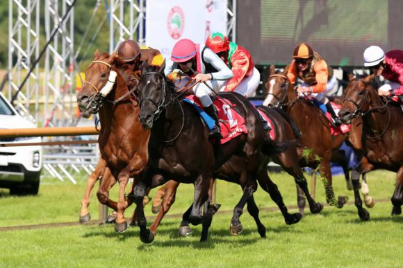 Der entscheidende Vorstoß im swb-Derby-Trial in Bremen: Amazonit (rechts) setzt sich mit Michael Cadeddu im Sattel gegen Rennstall Darbovens Russian Bolero und Baltic Storm durch. Foto: Dr. Jens Fuchs