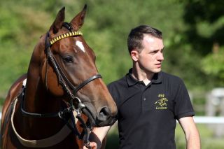 Ging an die Renello Bloodstock Agency von Stephan Vogt: American Oxygen wurde für 20.000 Euro verkauft. www.galoppfoto. de