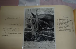 Asterios, geb. 1947, und seine lange Erfolgsliste im Fotobuch von Hein Bollow. www.dequia.de