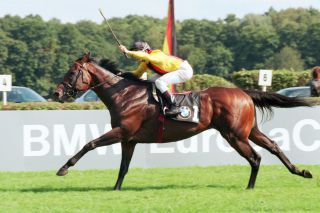 Aus vergangenen Tagen: Auenadler und Hammer-Hansen gewinnen den 108. Preis von Berlin. Foto: www.galoppfoto.de - Frank Sorge