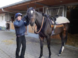 Auf zur Morgenarbeit: Dennis Schiergen trenst den dreijährigen Nadelwald. Foto: Karina Strübbe