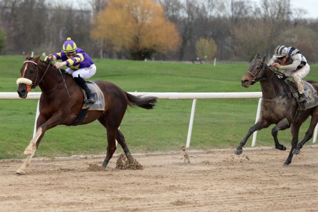 Dortmunder Märzpreis: Beetle Star siegt mit Robin Weber vor Numerion im Ausgleich III beim Finale der Sandbahn-Saison 2019-2020 in Dortmund. www.galoppfoto.de - Stephanie Gruttmann